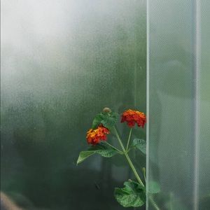 Meet your Posher, Kaity